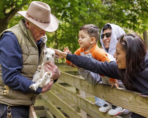 animal farm in long island|Long Island Game Farm.